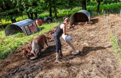 New Hampshire farm using crowdfunding to back a meat-processing facility